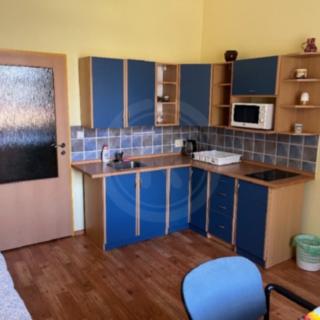 Prodej hotelu a penzionu 43 m² Světlík