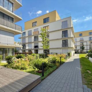 Pronájem bytu 2+kk 55 m² Praha Hodkovičky, Šenácká