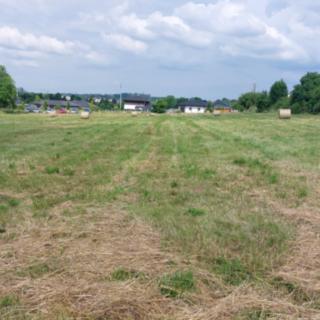 Prodej komerčního pozemku 7 793 m² Všetaty