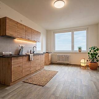 Prodej bytu 1+1 30 m&sup2; Praha