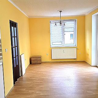 Prodej bytu 2+kk 45 m² Luštěnice Zelená, Lesní