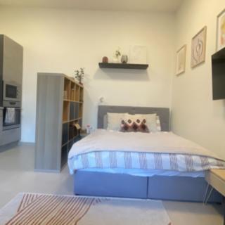 Pronájem bytu 1+1 35 m² Praha Nové Město, Vyšehradská