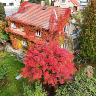 Prodej rodinného domu 163 m² Braškov, Karlovarská