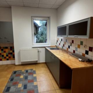 Pronájem bytu 1+kk a garsoniéry 66 m² Nová Cerekev