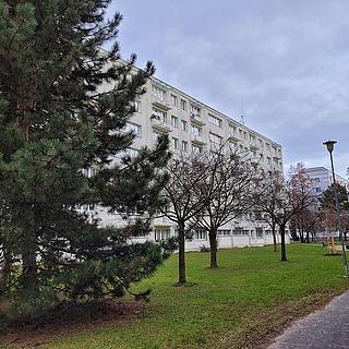 Prodej bytu 1+kk a garsoniéry 27 m² Pardubice Polabiny, Varšavská