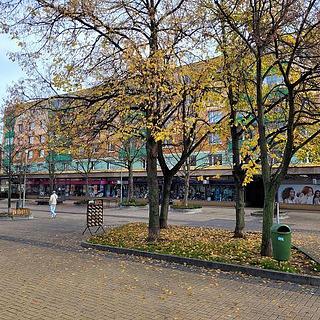 Pronájem bytu 1+1 33 m² Pardubice Zelené Předměstí, Jindřišská