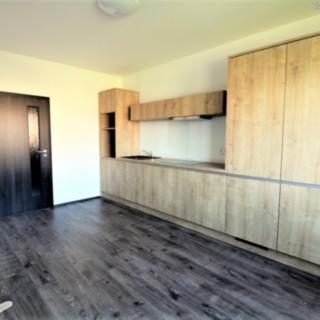 Pronájem bytu 1+1 44 m² České Budějovice 7, Plavská