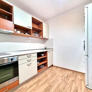 Pronájem bytu 1+kk a garsoniéry 26 m² České Budějovice 3, Nová