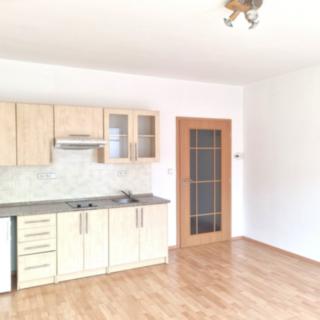 Pronájem bytu 1+kk a garsoniéry 28 m² České Budějovice 6, Rudolfovská tř.