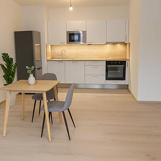 Pronájem bytu 2+kk 52 m² Praha Ruzyně, Stočesova