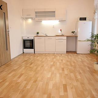Pronájem bytu 1+kk a garsoniéry 34 m² Louny, U Zastávky