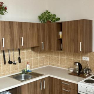 Pronájem bytu 2+kk 67 m² Slaný, Wilsonova