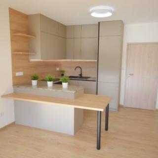 Pronájem bytu 2+kk 76 m² Slaný, Lázeňská
