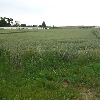 Prodej stavební parcely 985 m² Hořesedly