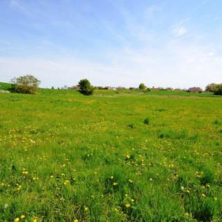 Prodej zemědělské půdy 3025 m² Dobrovíz