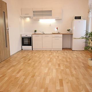Pronájem bytu 1+kk, garsoniery 34 m&sup2; Louny