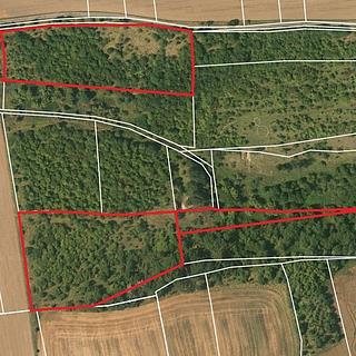 Prodej ostatních pozemků 20682 m&sup2; Slaný