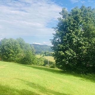 Prodej zemědělské půdy 2 906 m² Vysoké nad Jizerou Horní Tříč