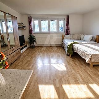 Prodej bytu 1+kk, garsoniery 31 m&sup2; České Budějovice