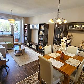 Prodej bytu 3+1 90 m&sup2; České Budějovice