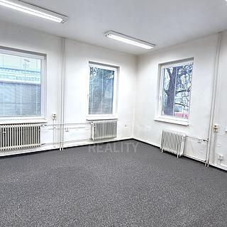 Pronájem kanceláře 143 m² České Budějovice 6, Mánesova