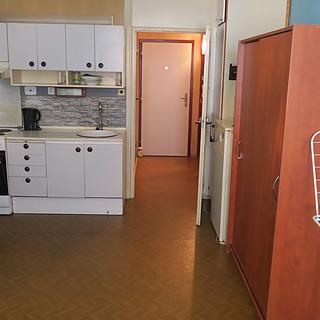 Pronájem bytu 1+kk a garsoniéry 30 m² Český Krumlov Domoradice, Urbinská