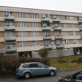 Prodej bytu 2+1 62 m² Český Krumlov Plešivec