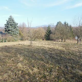 Prodej stavební parcely 3 738 m² Hrubá Skála Rokytnice