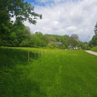 Prodej zemědělské půdy 810 m² Frýdštejn