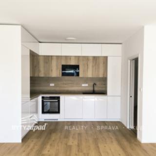 Pronájem bytu 2+kk 66 m² Plzeň Újezd, Safírová