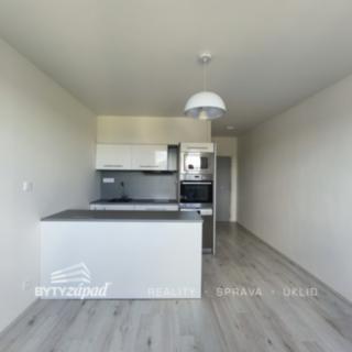 Pronájem bytu 1+kk a garsoniéry 22 m² Plzeň Doubravka, Hrádecká