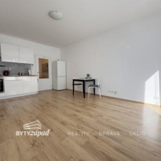 Pronájem bytu 1+kk a garsoniéry 29 m² Plzeň Jižní Předměstí, Nemocniční