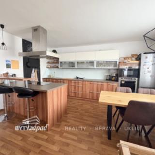 Pronájem bytu 2+kk 80 m² Plzeň Východní Předměstí, Slovanská alej