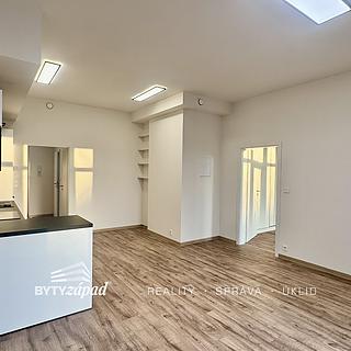 Pronájem bytu 2+kk 56 m&sup2; Plzeň