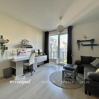 Pronájem bytu 1+kk a garsoniéry 31 m² Plzeň Jižní Předměstí, Technická