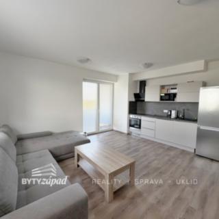 Pronájem bytu 2+kk 58 m² Plzeň Skvrňany, Pecháčkova