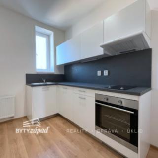 Pronájem bytu 1+1 41 m² Plzeň