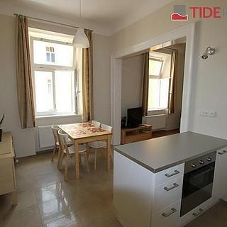 Pronájem bytu 1+1 50 m&sup2; Praha