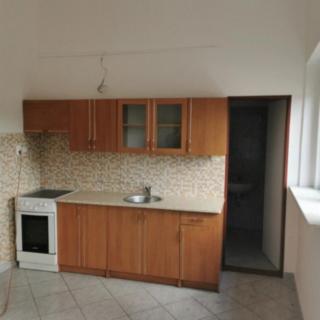 Pronájem bytu 1+kk a garsoniéry 20 m² Hostomice, Vrbenského