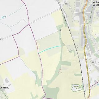 Prodej zemědělské půdy 4 896 m² Velká nad Veličkou