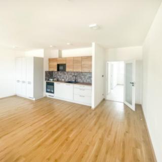 Pronájem bytu 1+kk, garsoniery 73 m² Tábor