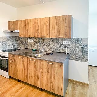 Pronájem bytu 1+1 43 m² České Budějovice