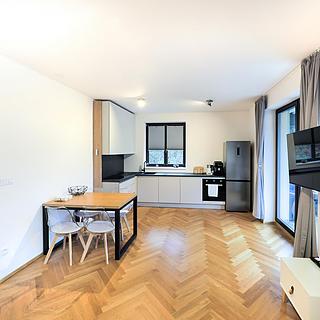 Prodej bytu 1+kk a garsoniéry 38 m² Tábor, Bechyňská