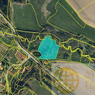 Prodej zemědělské půdy 4 518 m² Pojbuky Zadní Lomná