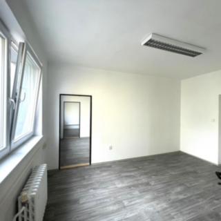 Pronájem kanceláře 15 m² Tábor Měšice, Chýnovská