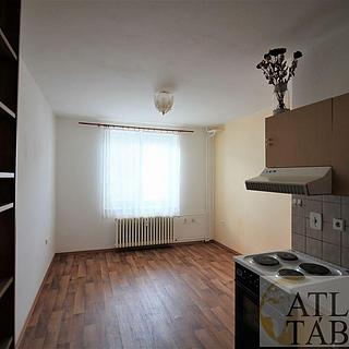 Pronájem bytu 1+kk a garsoniéry 21 m² Sezimovo Ústí, Průmyslová