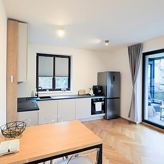 Prodej bytu 1+kk a garsoniéry 38 m² Tábor, Bechyňská