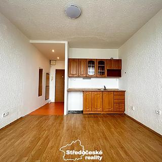 Pronájem bytu 1+kk, garsoniery 21 m² Ústí nad Labem