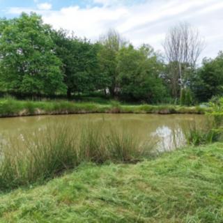 Prodej stavební parcely 2 324 m² Chýnov Dobronice u a