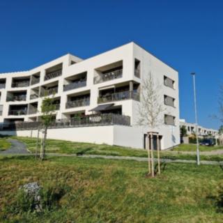 Pronájem bytu 2+kk 66 m² Plzeň